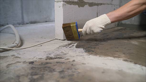 SJ Waterproofing Pros Emergency Waterproofing coverage map for College Grove, TN and surrounding area
